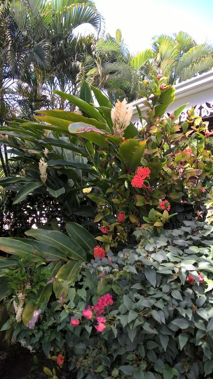Villa Cap Martinique Sainte-Anne Exterior foto